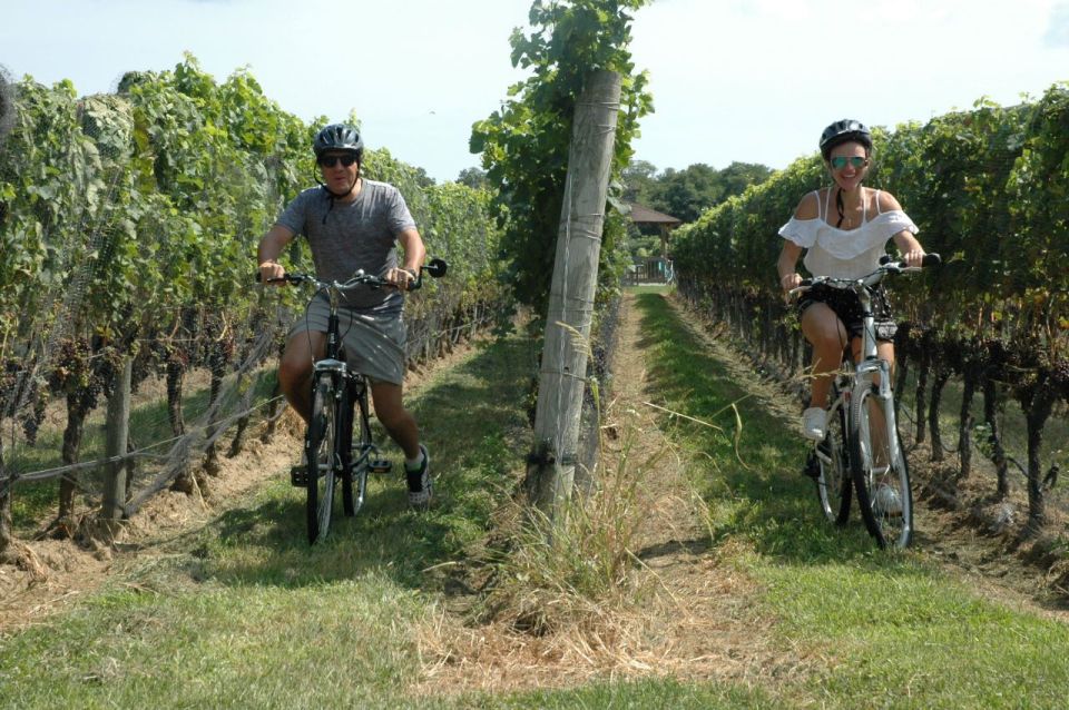 From Mattituck: North Fork Area Bike Tour With Food Tasting - Artisanal Food Tasting