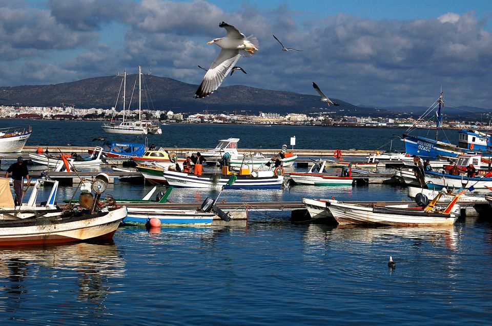 From Olhão: Ria Formosa & Culatra Island 3.5-Hour Boat Trip - Accessibility and Cancellation