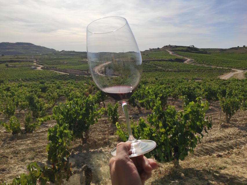 From Pamplona or Logroño: Rioja Wineries Day Trip With Tasting - Separate Entrance and Live Guide