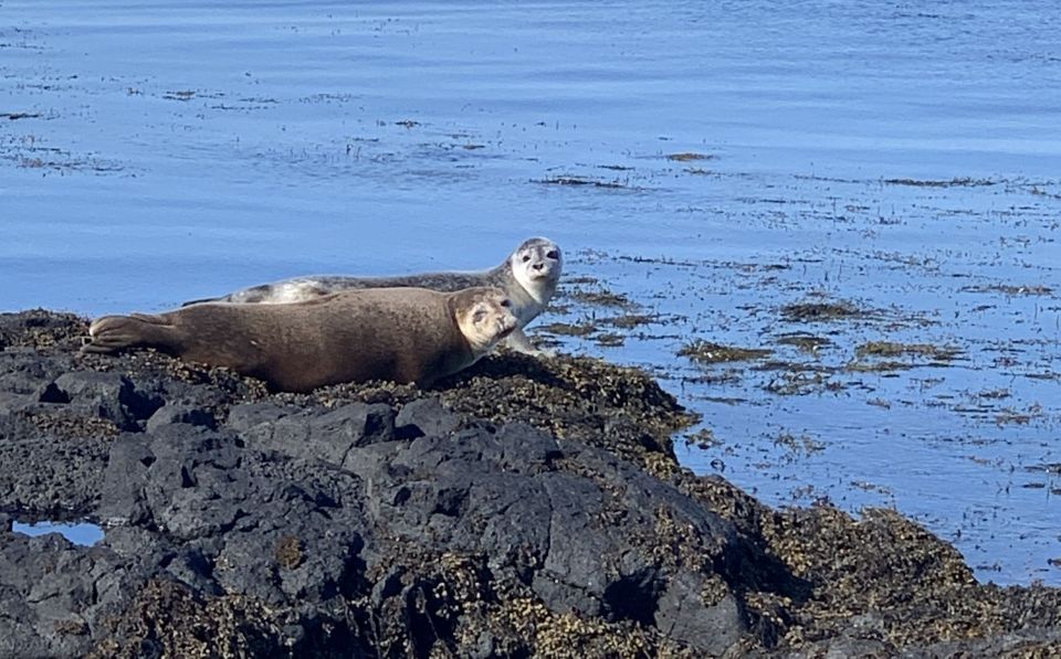 From Reykjavik: Snæfellsnes Peninsula Private Day Tour - Discover Djupalonsandur Black Sand Beach