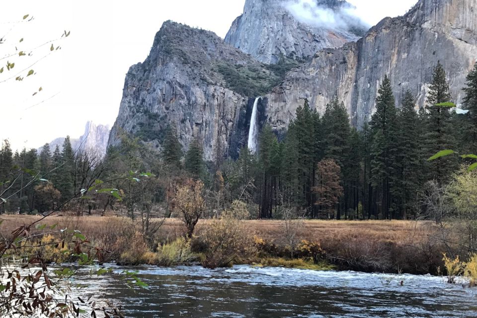 From Sf: Yosemite Day Trip With Giant Sequoias Hike & Pickup - Hiking to Giant Sequoia Trees