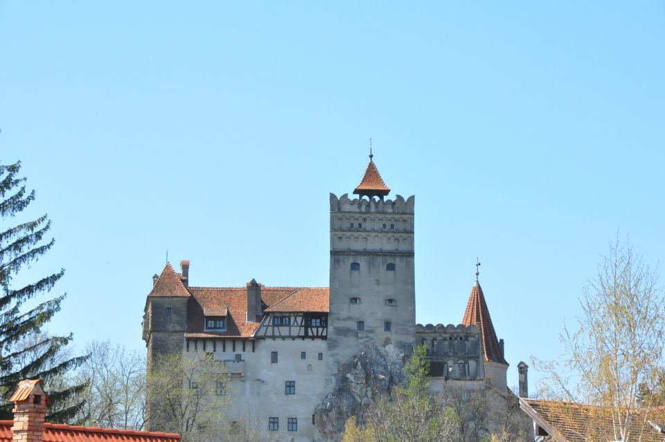 From Sibiu: Day Tour to Brasov and Draculas Castle - Itinerary and Schedule