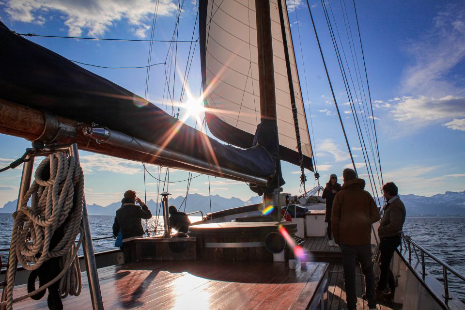 From Svolvær: Lofoten Islands Midnight Sun Luxury Sail - Midnight Sun Wildlife Watching