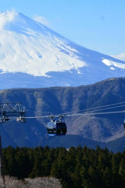 From Tokyo: 10-hour Hakone Private Custom Tour - Pickup and Drop-off