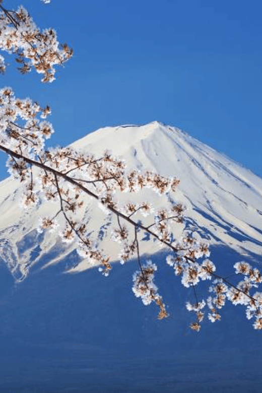 From Tokyo: Mount Fuji Full-Day Private Customized Tour - Transportation and Amenities