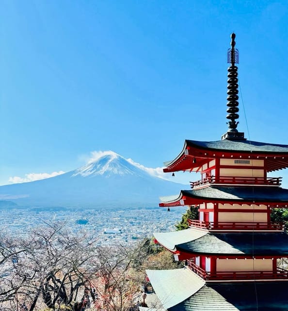 From Tokyo: Mt. Fuji Private Car Day Trip With Guide - Driver and Transportation Details