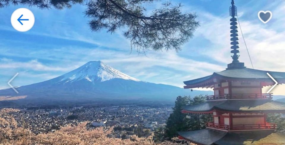 From Tokyo: Private Trip to Mount Fuji and Lake Kawaguchi - Transportation and Comfort