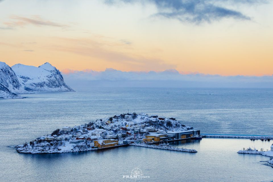 From Tromsø: Senja and Kvaløya Arctic Day Trip With Lunch - Landscapes and Scenery