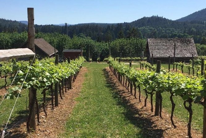 From Victoria to Cowichan Wine 6-Hour Guided Tour - Gratuity and Appreciation