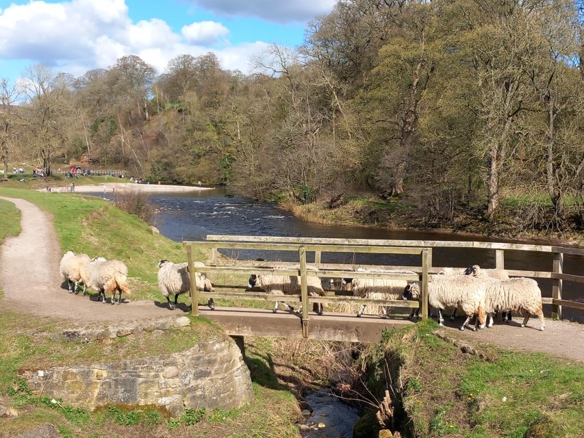 From York: Herriot and Yorkshire Dales Day Trip - Exploring Grassington