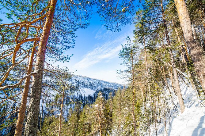 Frozen Waterfalls in Korouoma Canyon Adventure - Tour Details