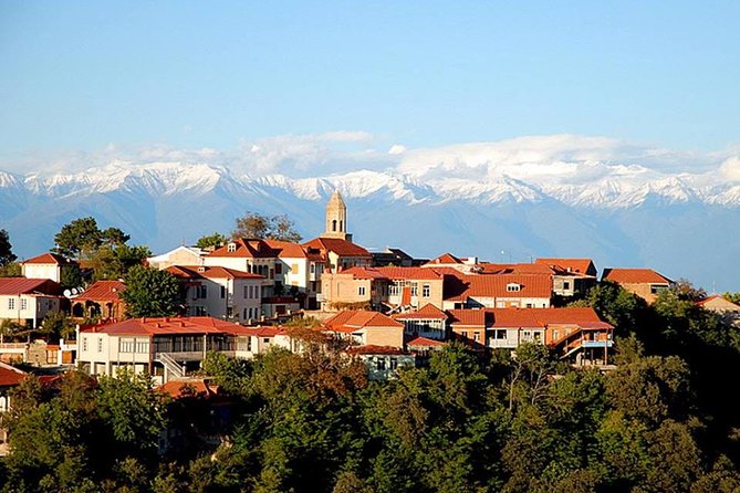 Full-Day Kakheti- Wine Region Private Guided Tour - Inclusions