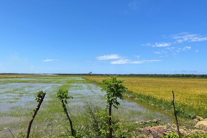 Full Day Safari Experience and Buggies From Punta Cana - Reviews and Feedback