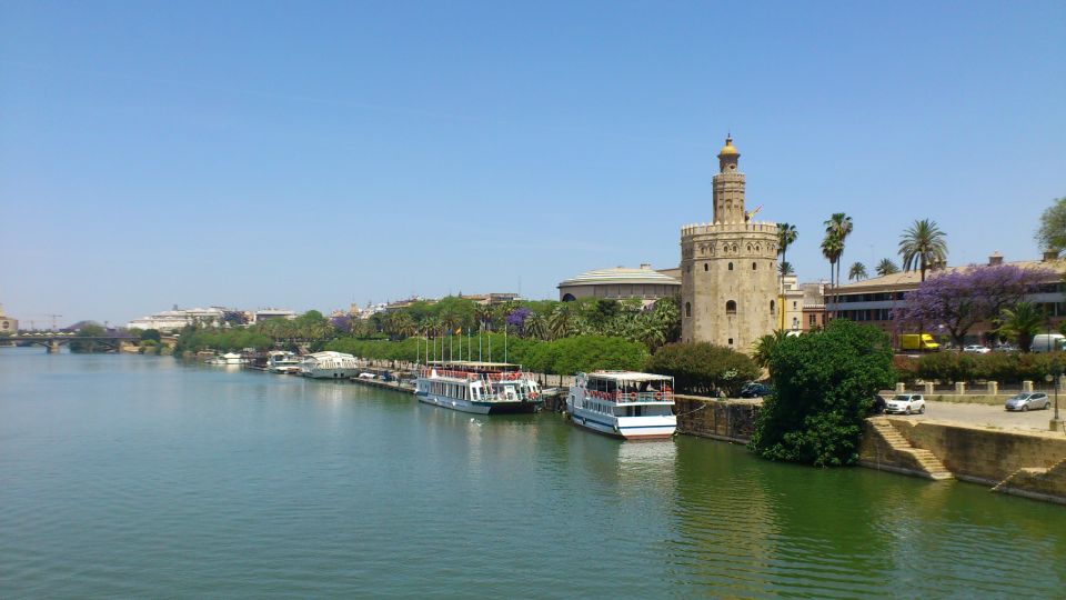 Full-Day Tour of Seville From Costa Del Sol - Transportation Details