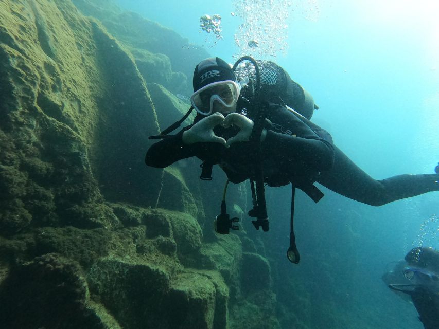 Fun Dive for Certified Divers in Tenerife - Inclusions for Divers