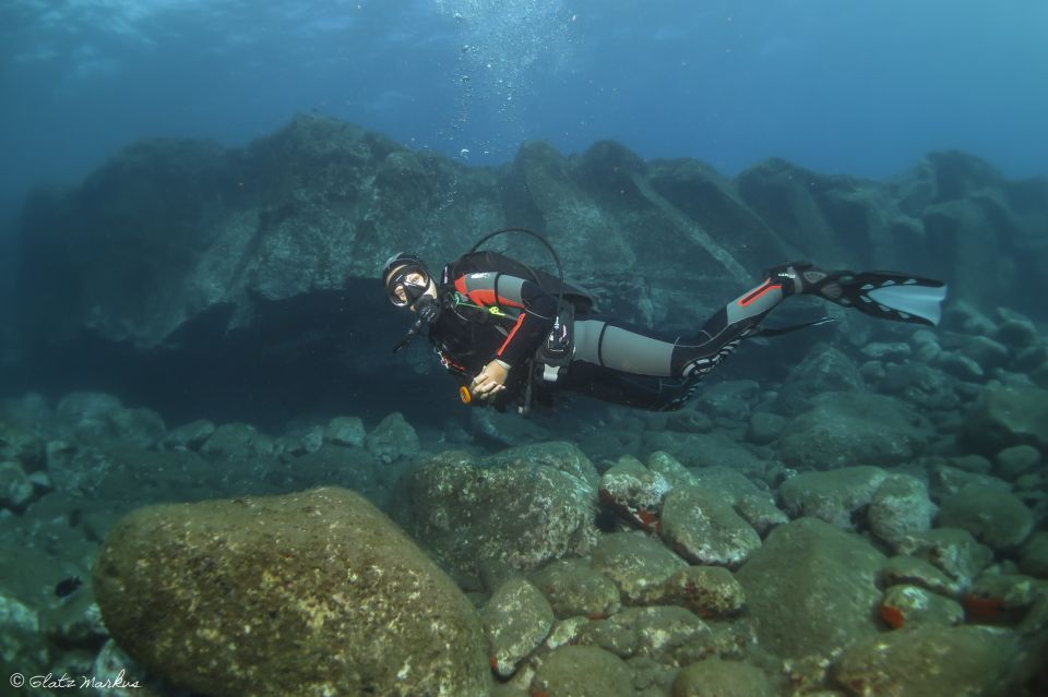 Funchal: Certified Scuba Diving, Guided Tour - Highlights of the Diving Experience