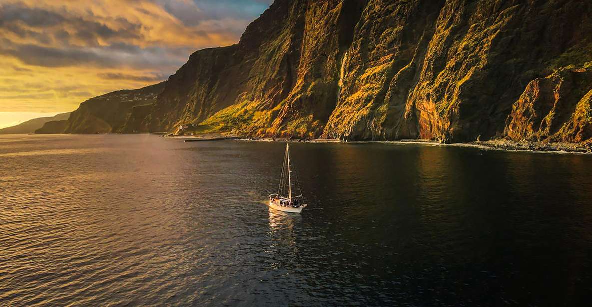 Funchal: Dolphin and Whale Watching Sunset Sailing Tour - Inclusions