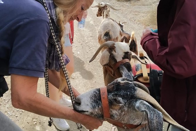 Goat Trekking Fuerteventura - Traveler Policies