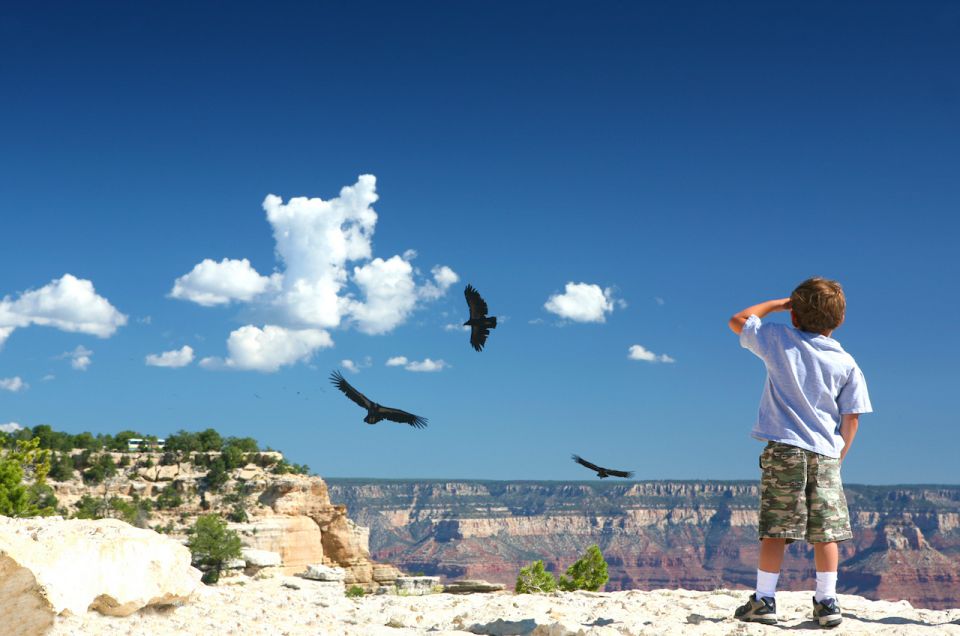 Grand Canyon: Morning Off-Road Safari With Skip the Gate - Included in the Tour