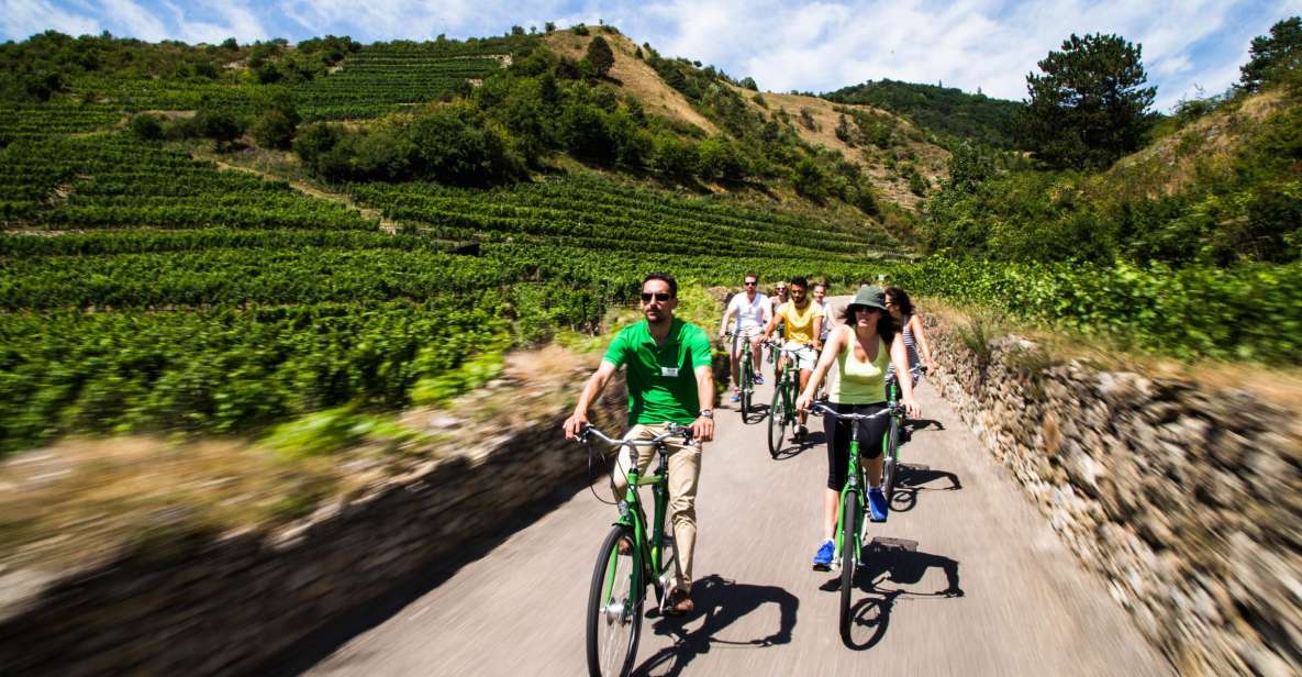 Grape Grazing: Wachau Valley Winery Biking Tour - Family-Owned Wineries and Domäne Wachau