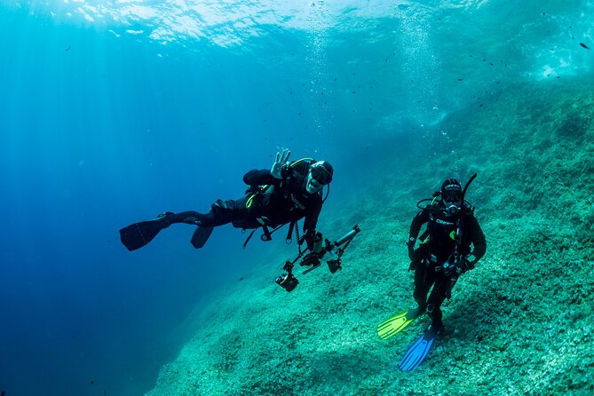 Guided Diving for Beginners Without Certification From Sorrento - Activity Duration and End Point