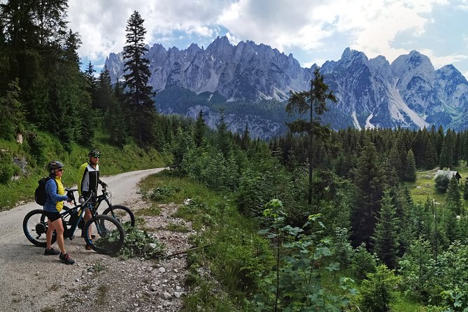 Guided E-Bike Tour of the Alpine Pastures in the Salzkammergut - Tour Information