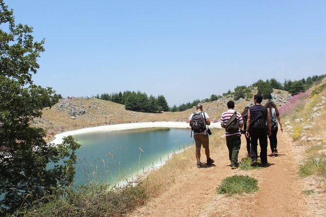 Guided Small Group to Cedars Reserve & Beiteddine W/Lunch+Entries - Accessibility and Safety