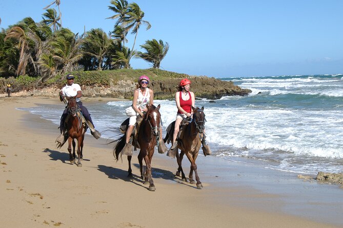 Half Day Buggies and Horseback Experience in Punta Cana - Buggy Ride