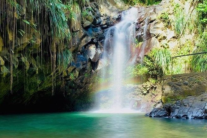 Half-Day Grenada River Tubing Adventure and Annandale Falls - Exploring the Grand Etang Forest Reserve