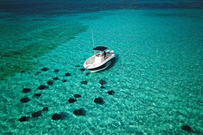 Half Day Private Boat Charter in Grand Cayman - Confirmation and Accessibility