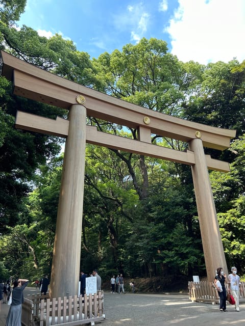 Harajuku: Private Tour, Licensed Guide and Chauffeur Service - Guided Tour of Meiji Shrine