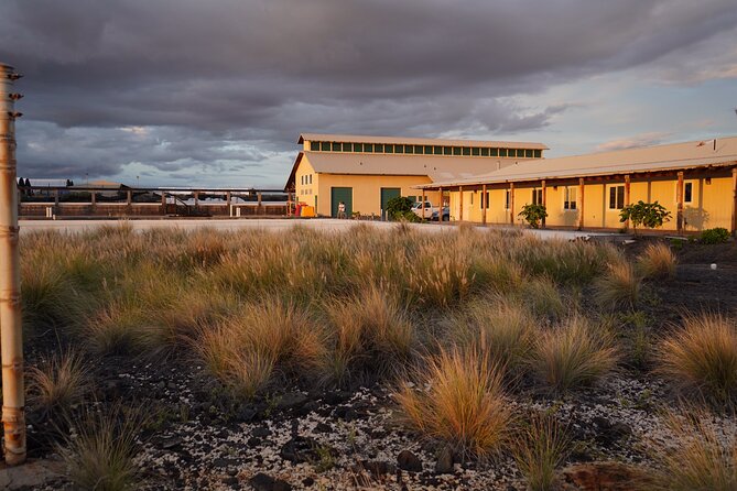 Hawaiian Salt Farm Tour Kona - Highlights and Recommendations