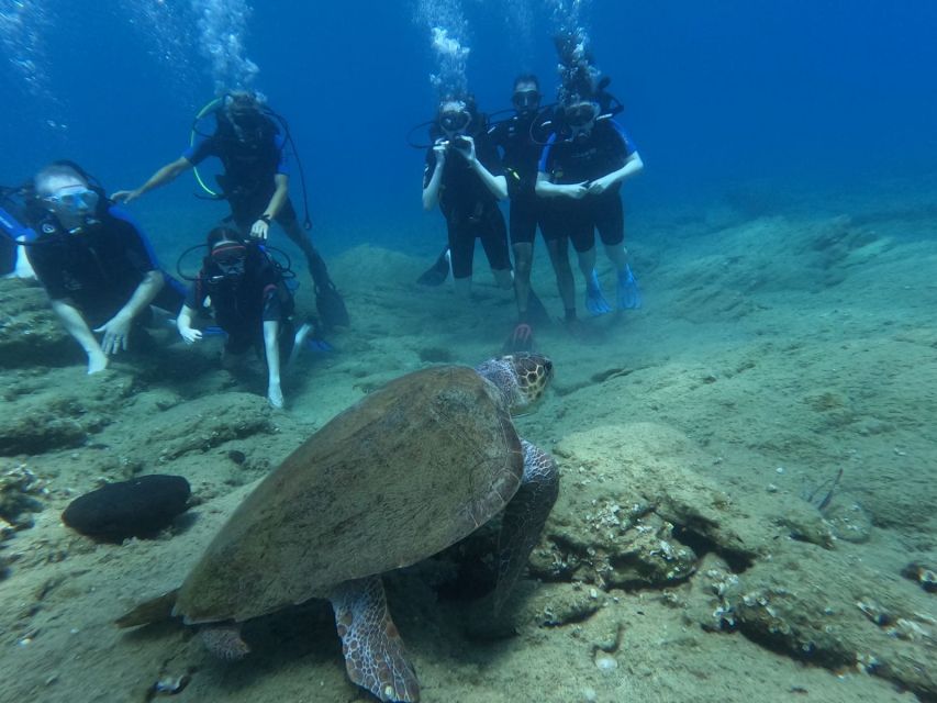 Heraklion: Beginners Intro Dive W/2 Dives With Transfer. - Itinerary and Schedule