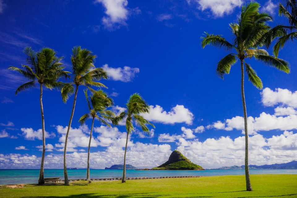 Hidden Gems of Oahu Circle Island Tour With Byodo-In Temple - Macadamia Nut Farm and Chinamans Hat