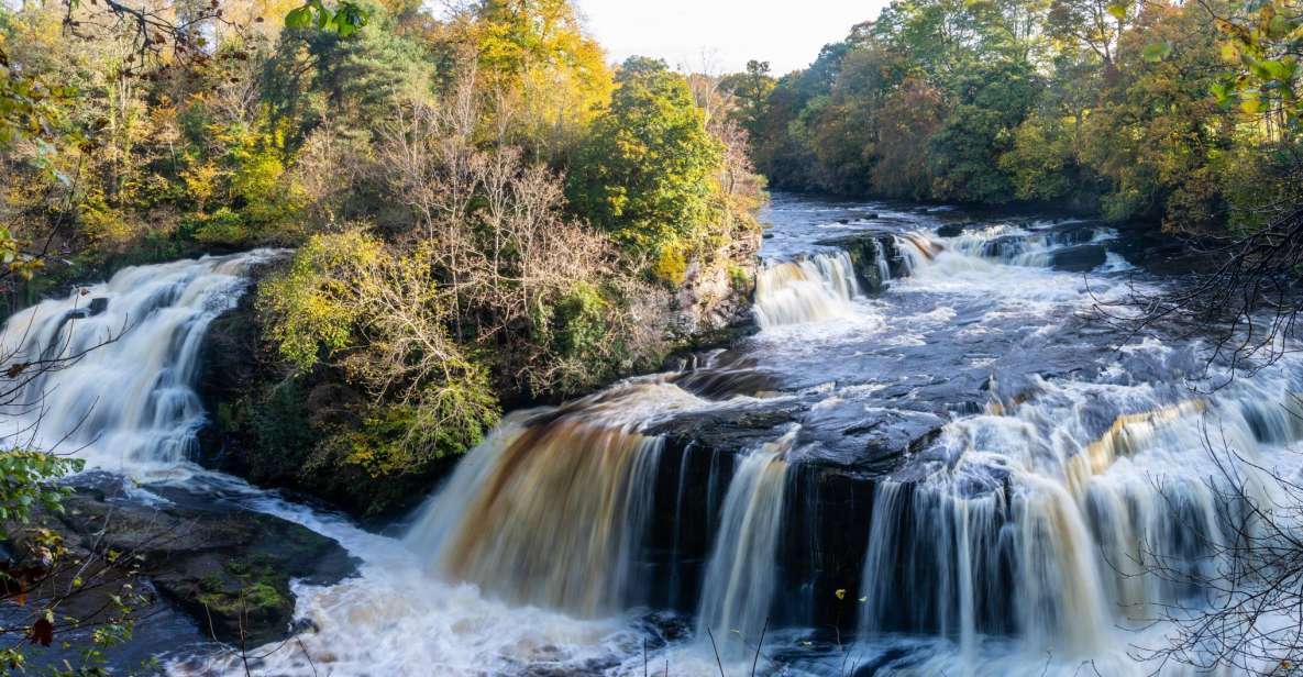 Hike World Heritage Reserve Waterfalls - Meeting Point and Drop-off