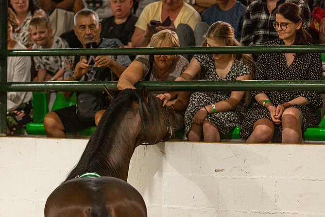 Horse and Flamenco Show in Malaga With Dinner - Pricing and Booking