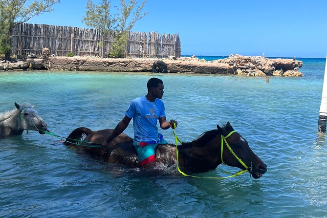 Horseback Ride and Swim Tour In Montego Bay - Participant Information