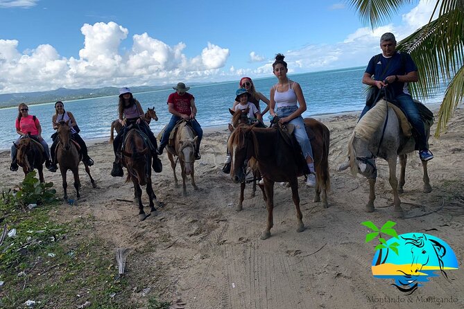 Horseback Riding - Experience Between Virgin Beach and Lagoon - Health and Safety