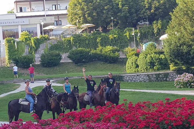 Horseback Riding In Bled - Pickup Service From Bled