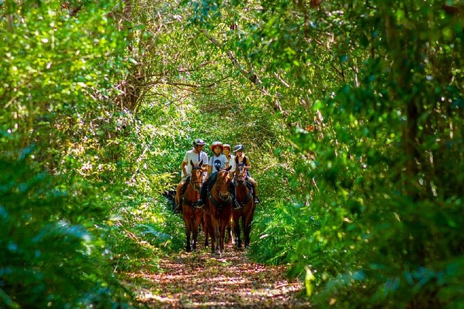 Horseback Riding on the Beach Free Transportation - Age and Weight Restrictions