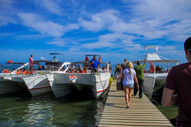 Humpback Whales Watching + Samana Eco-Tour - Whale Sightings and Cancellations