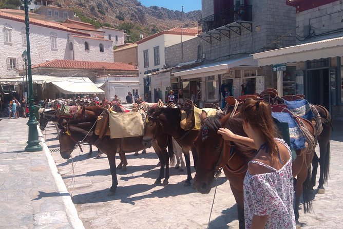 Hydra Island Day Tour With Your Private Guide in the Most Cosmopolitan Island - Speedboat Ride and Island Exploration