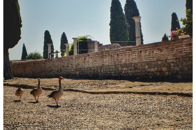 Italica 2-Hour Private Guided Tour From Seville - Tour Details