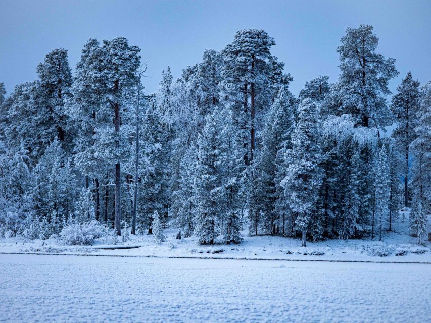 Ivalo: Winter Short Break in Northern Lapland - Day 1: Aurora Camp