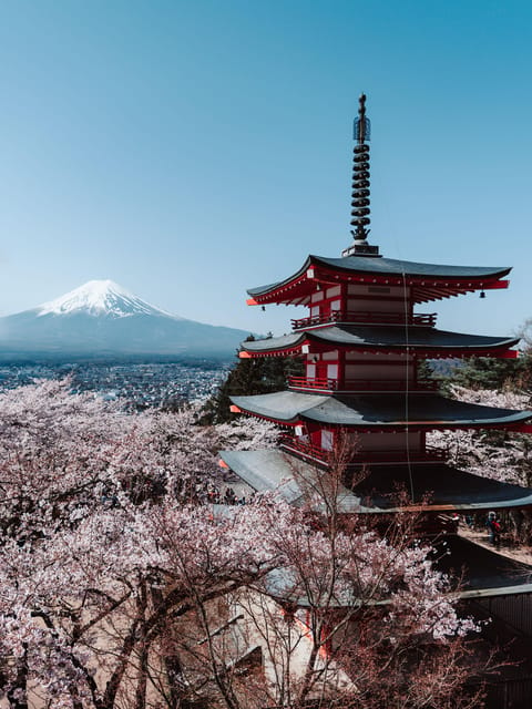 Japan Photography Tour Review: Capture Iconic Views - Guidance and Support