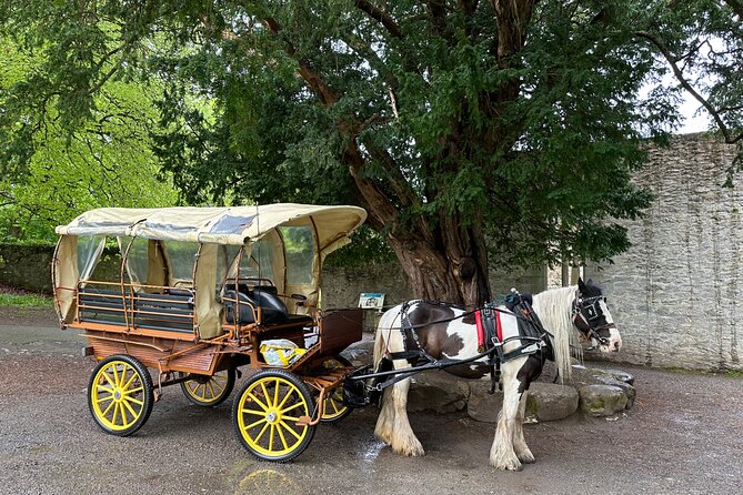 Jaunting Car Tour in Killarney National Park - Infant Seating Arrangements