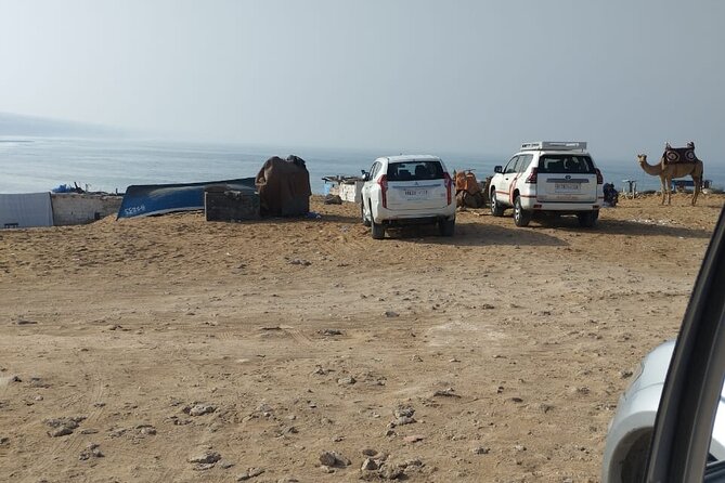 Jeep Tour to Mini Sahara With Lunch Small Group - Accessibility Information