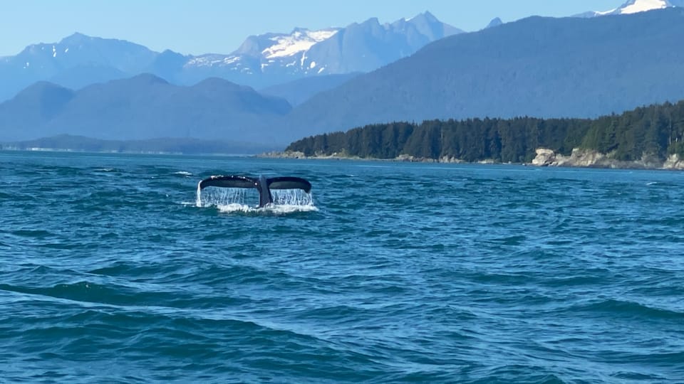 Juneau: Mendenhall Glacier Waterfall & Whale Watching Tour - Highlights