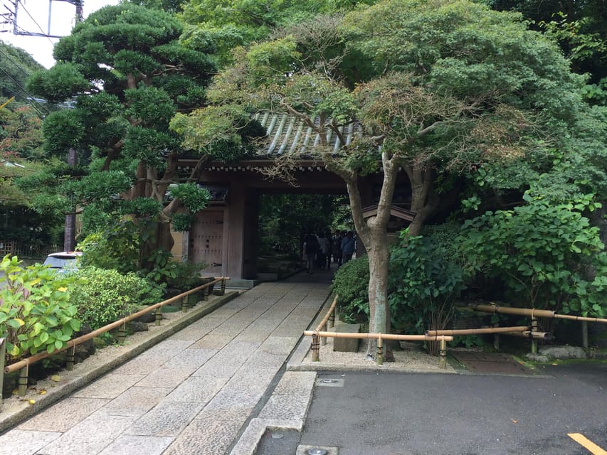 Kamakura Walking Tour With Local Guide Including Hokokuji - Notable Sites