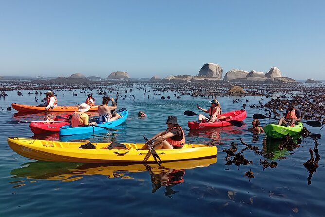 Kayak Adventure at Clifton Beach - Booking Information